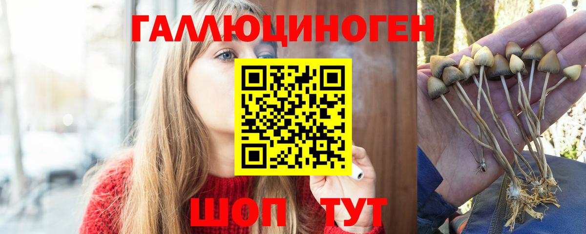 Псилоцибиновые грибы прущие грибы  Вход с VPN  Псилоцибиновые грибы GOLDEN TEACHER  Нововоронеж 